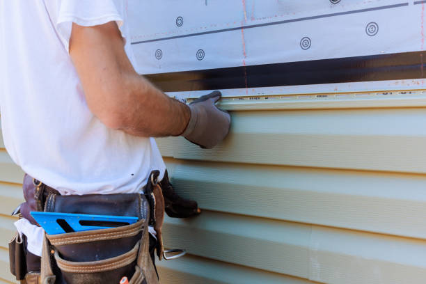 Best Aluminum Siding Installation  in River Rouge, MI