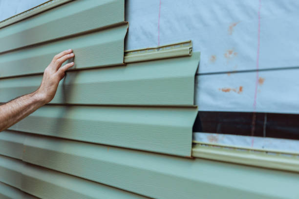 Best Vinyl Siding Installation  in River Rouge, MI